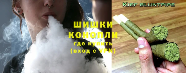 крисы Надым