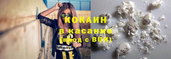 крисы Надым