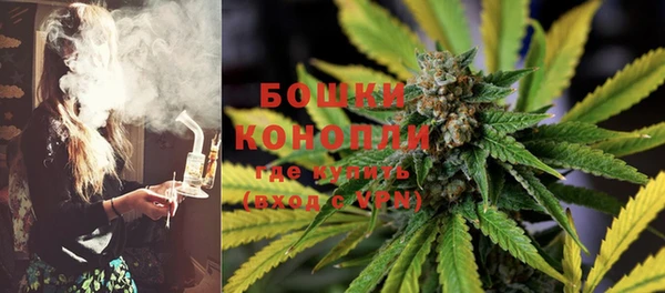 ALPHA-PVP Вяземский