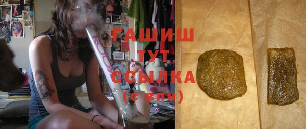 крисы Надым