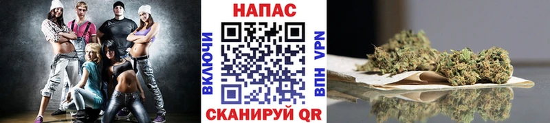 omg зеркало  магазин продажи наркотиков  Кондрово  Марихуана сатива 
